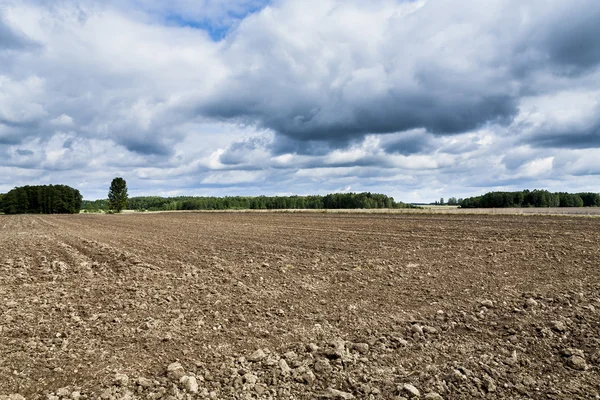 Agricultural landscape, plowed field.
