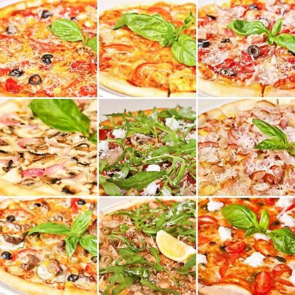Various pizza collage