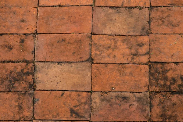 Texture of walkway, red bricks walkway