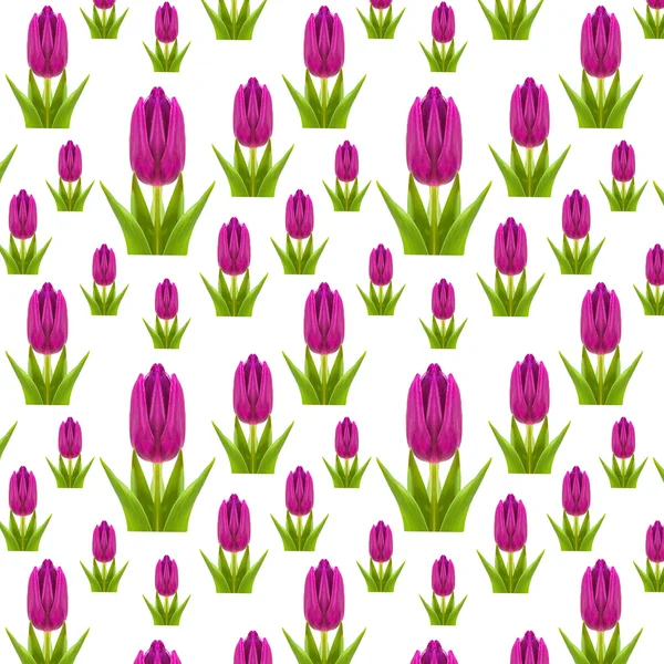 Pattern of pink and purple tulips