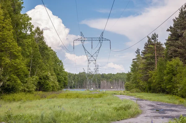 Electricity transmission pylon in a forest