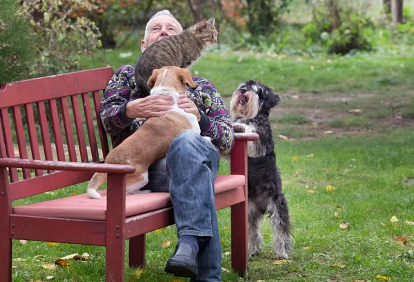 Old man with pets in the park