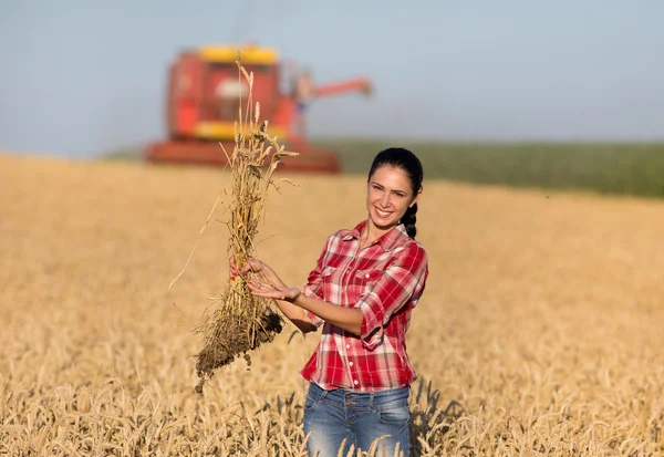 Farmer girl and combine harvester in wheat field