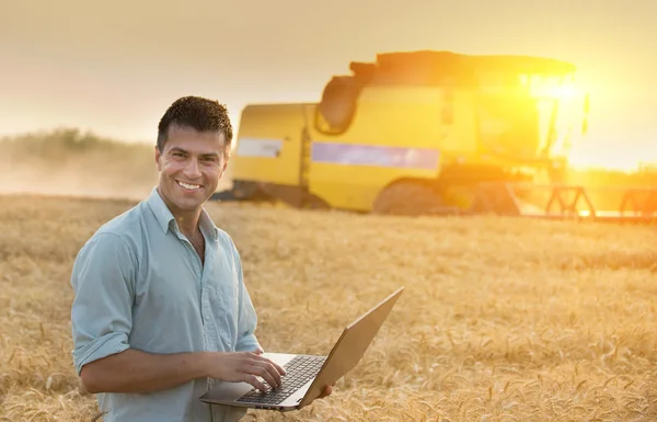 Agricultural engineer on wheat harvest