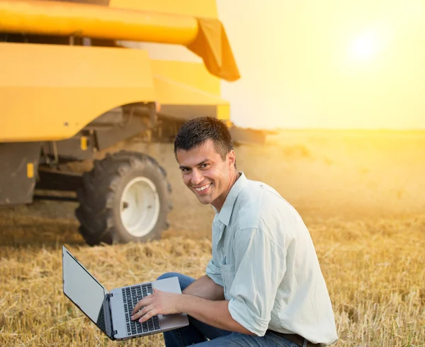 Agricultural engineer on wheat harvest