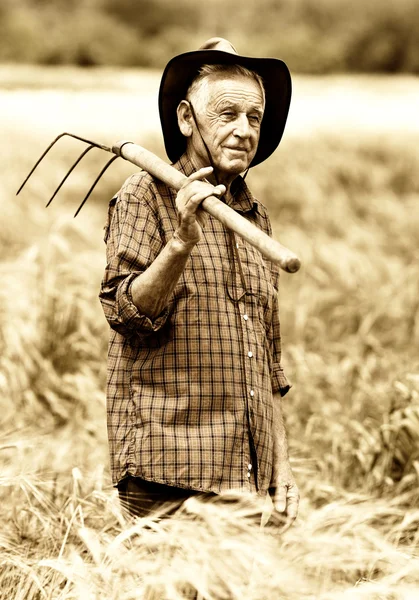 Old peasant in barley field