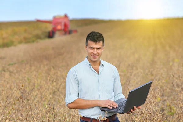 Soybean harvest