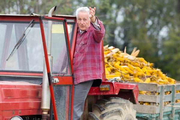 Senior man in tractor