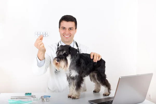 Dog and vet with drugs