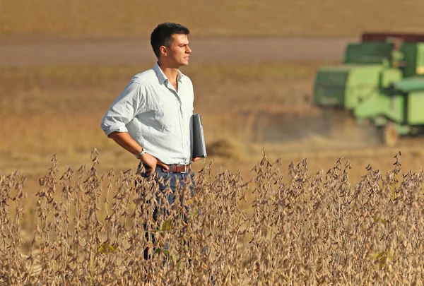 Man on soybean field