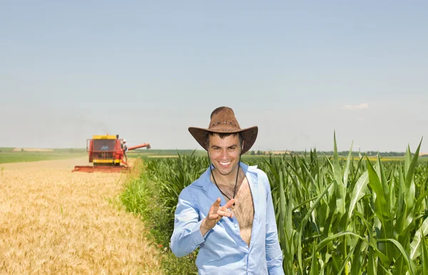 Businessman in field during harvest