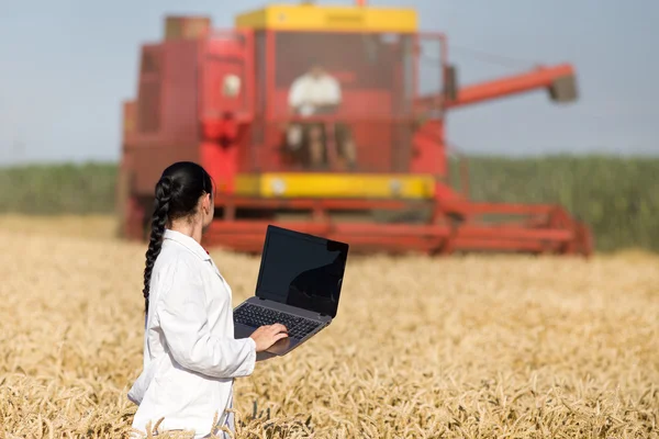 Woman agronomist in wheat field