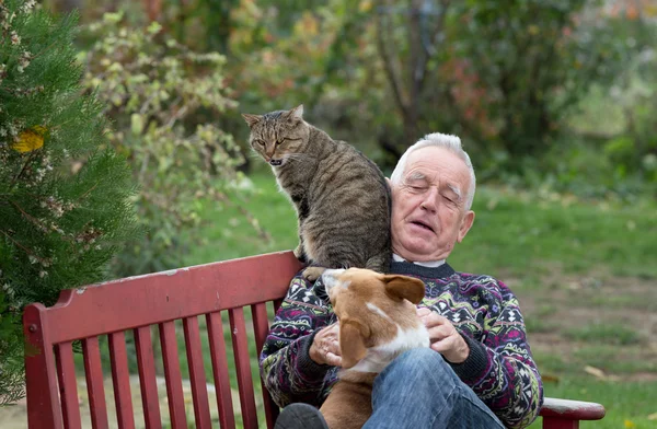 Senior man playing with pets