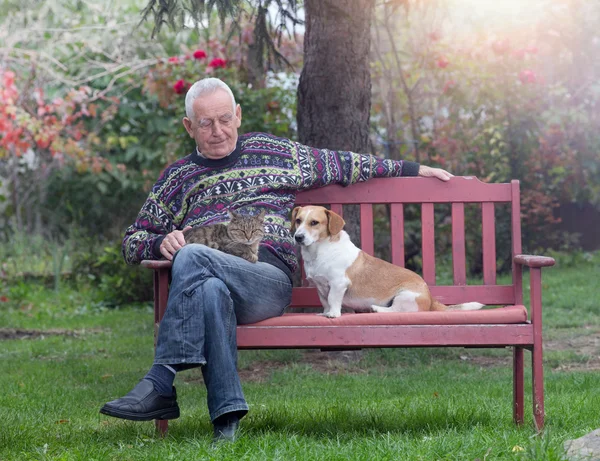 Senior man with dogs and cat