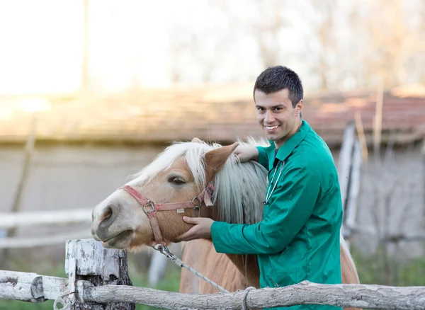 Veterinarian with horse