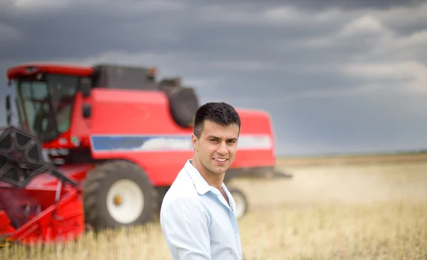 Businessman in soybean field. Combine harvester in background