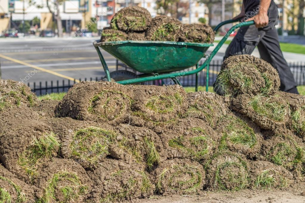 Google Wheelbarrow Roll