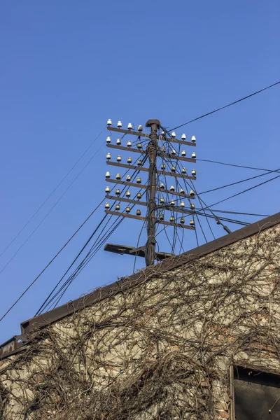 Rural electric wire pole with porcelain insulators