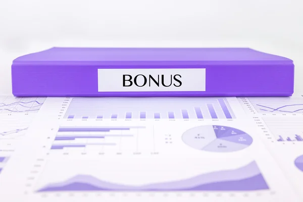 Bonus documents, graphs analysis and financial report