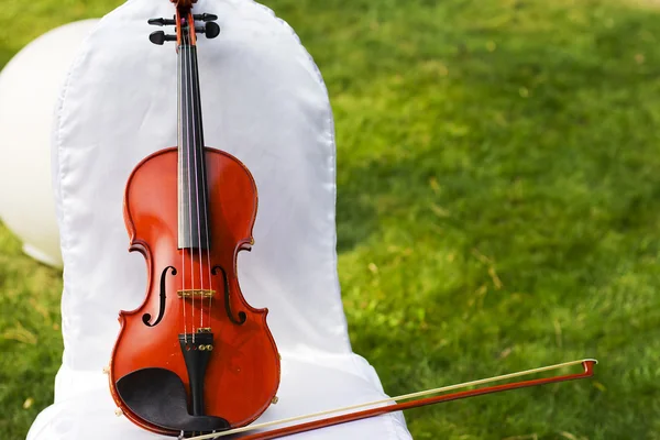 Violin. Violin outdoors. Live music. Wedding.Musician for the wedding.Violin under the open sky
