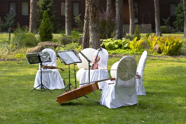 Violin. Violin outdoors. Live music. Wedding.Musician for the wedding.Violin under the open sky