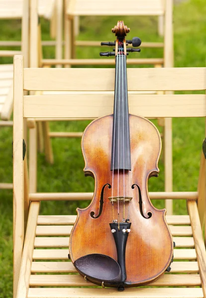 Violin. Violin outdoors. Live music. Wedding.Musician for the wedding.Violin under the open sky