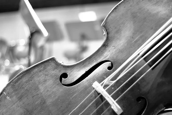 Contrabass on stage in front of an empty hall