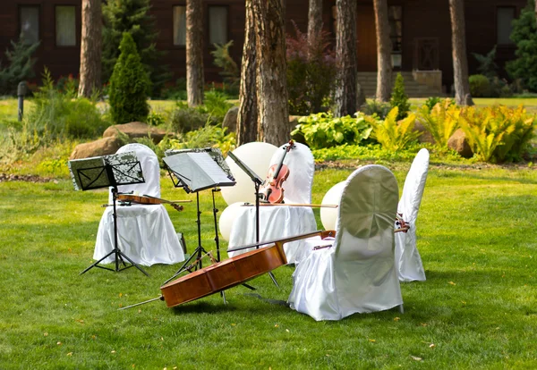 Violin. Violin outdoors. Live music. Wedding. Live music at the wedding