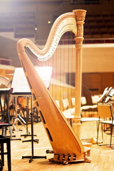 Harp in a large concert hall. Musical instrument.The concert harp