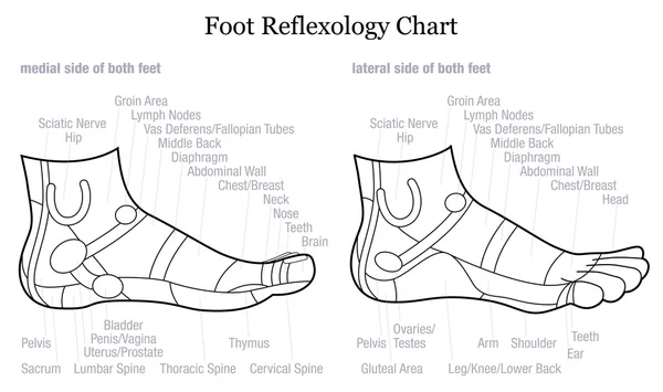 Foot Reflexology Profile Side Description Outline