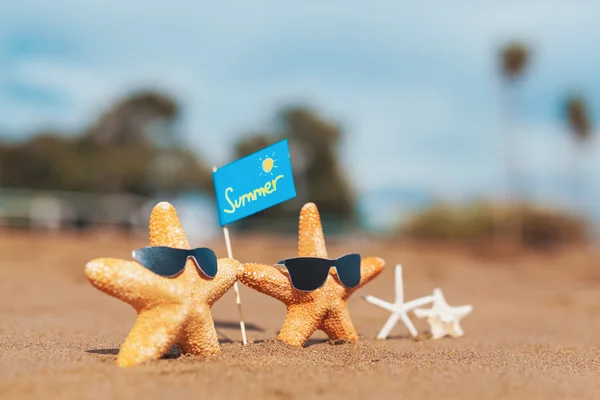 Starfish family with eye glasses on the beach. Summer concept.