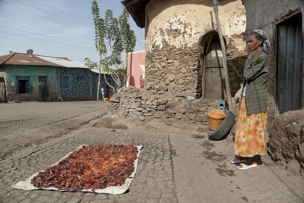 Ethiopian woman dries chili pepper on a street of Gonder, Ethiopia.