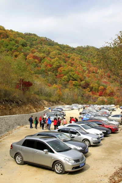 Many cars parked in parking of a scenic spot