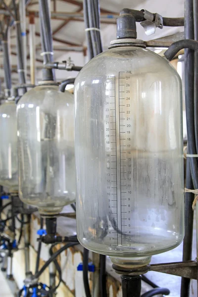 Glass milk storage tank in a milking workshop