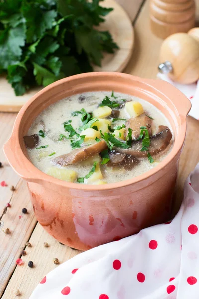 Traditional Russian potato soup with mushrooms and sour cream