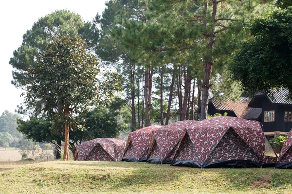 Dome tent camping at Thung Salang Luang National Park Phetchabun