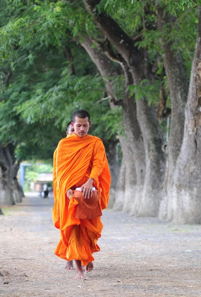 Asian young monks walking morning alms