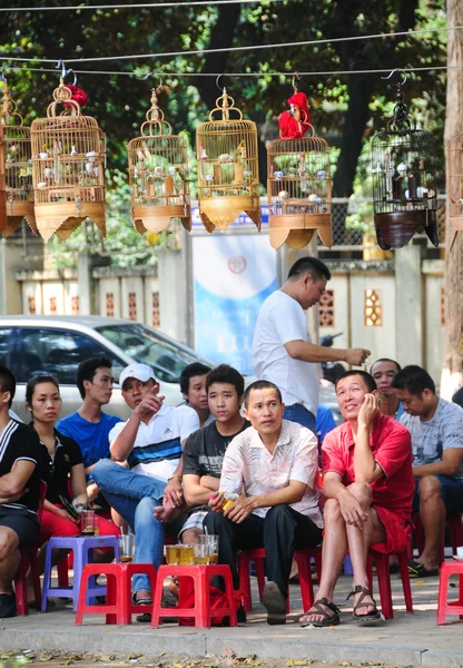 People drink coffee, tea in Hanoi