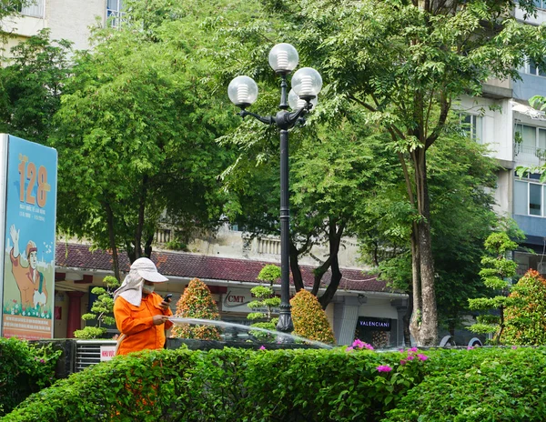 Vietnamese woman watering flowers at a park