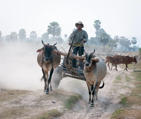 Asian man rides wagon move on country road