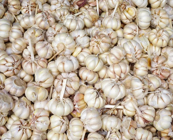 Close up of garlic on market stand