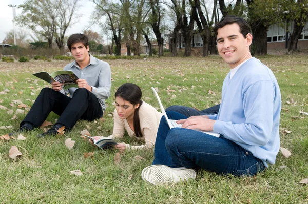 Friends studying together in the park
