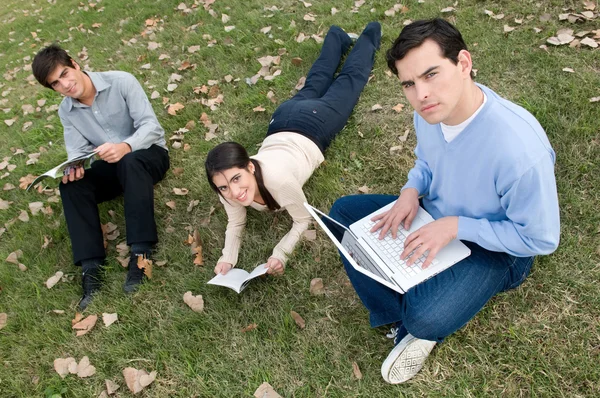 Friends studying  in the park