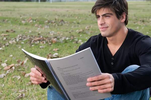 Man studying in the park
