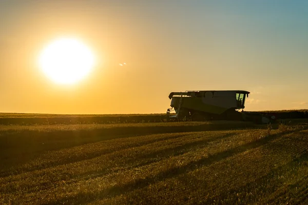 Sunset above the harvester on the field