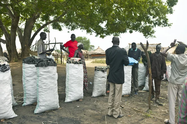 Charcoal sellers in South Sudan