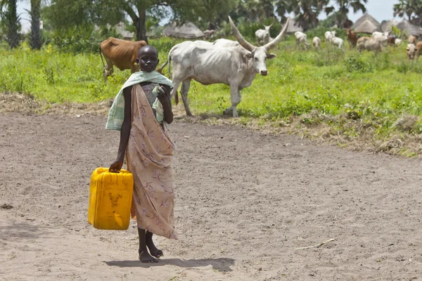 Carrying water in South Sudan