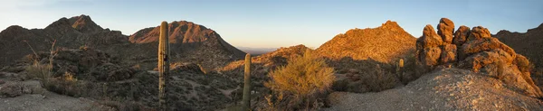 180 degree panorama of sonoran desert