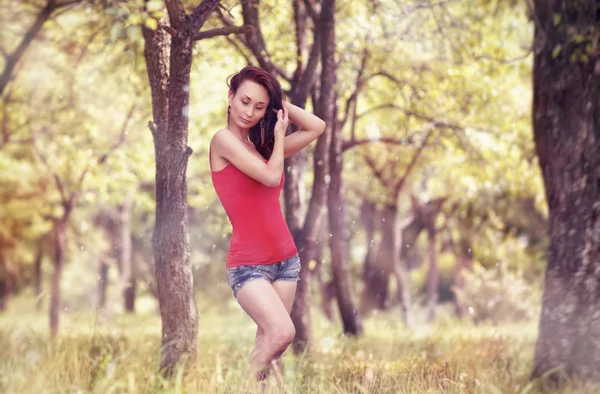 Beautiful nice women in a golden forest