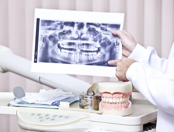 Dentist holding x ray